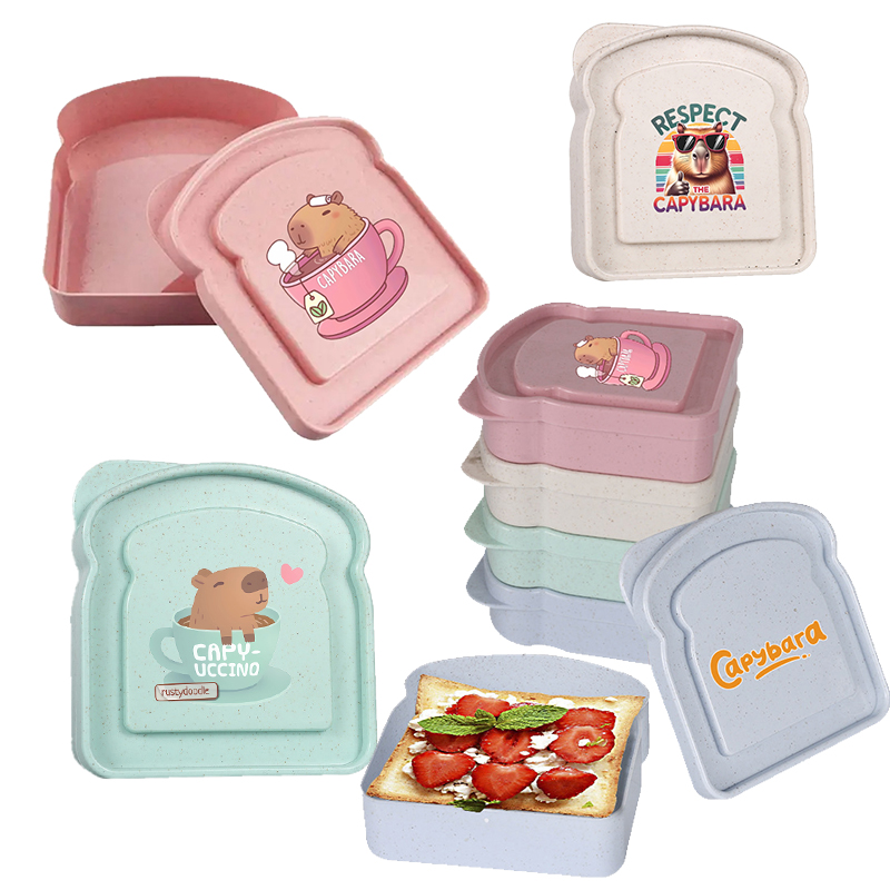 Food Storage With Dividers - 카피바라 샌드위치 음식 보관 케이스 컨테이너